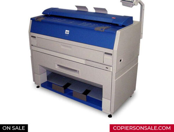 Kip 3101